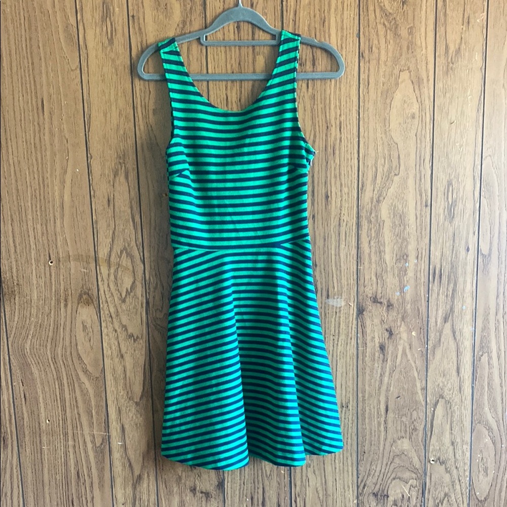 American Eagle Outfitters Green and Black Fit and Flare Mini Dress